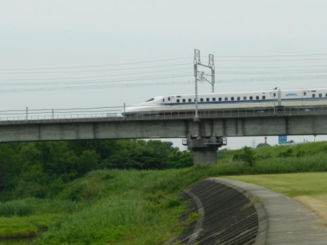 画像8